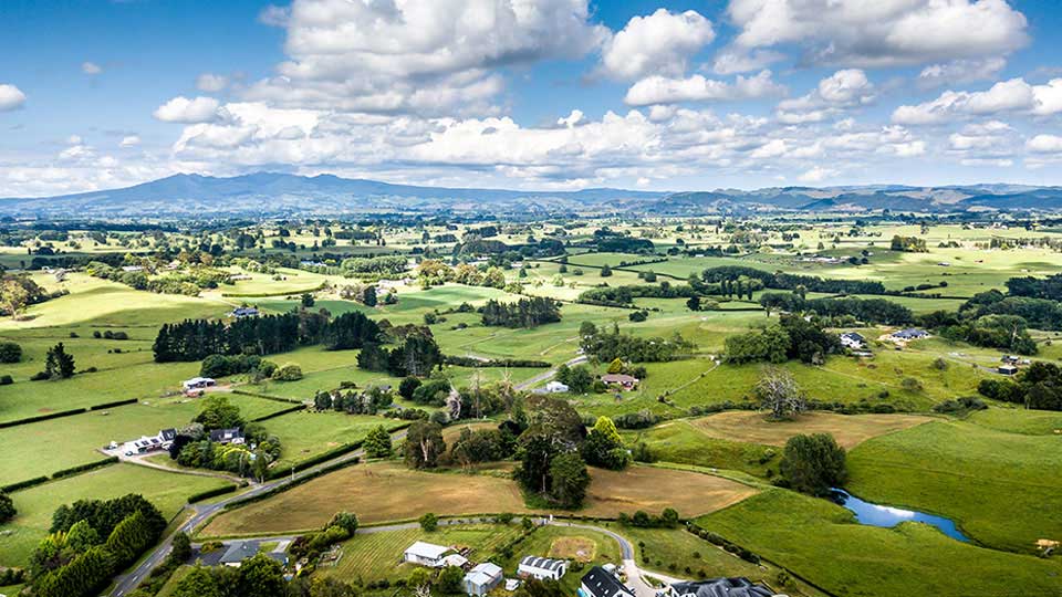 Waikato